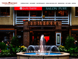 terramomo.com screenshot