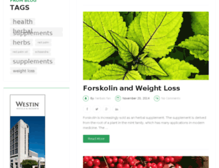 terubi.com screenshot
