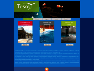 tesal.com screenshot