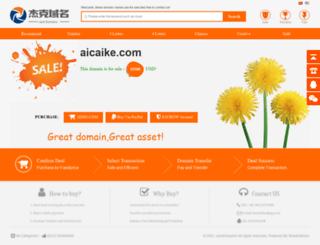 test.aicaike.com screenshot