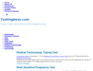 testingboss.com screenshot