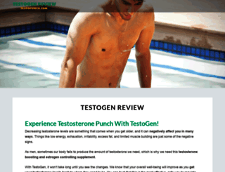 testopunch.com screenshot