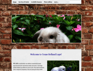 texashollandlops.com screenshot