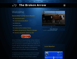 the-broken-arrow.com screenshot