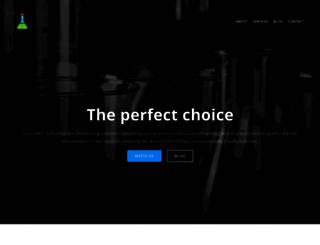the-perfect-choice.co.uk screenshot