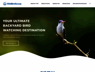 the-scoop-on-wild-birds-and-feeders.com screenshot