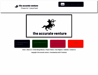 theaccurateventure.com screenshot