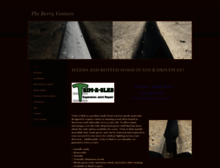 theberryventure.com screenshot