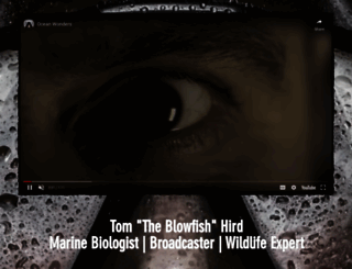 theblowfish.co.uk screenshot