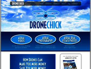 thedronechick.com screenshot