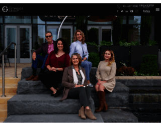 theestridgegroup.com screenshot
