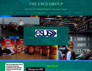 theesusgroup.com screenshot