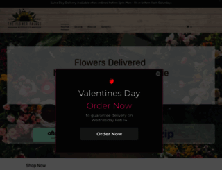 theflowerpalace.com.au screenshot
