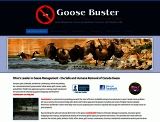 thegoosebuster.com screenshot