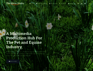thehorsestudio.com screenshot