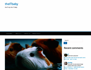 theitbaby.com screenshot