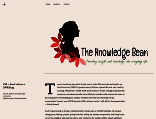 theknowledgebean.com screenshot
