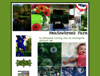themeadowbrookblog.blogspot.com screenshot
