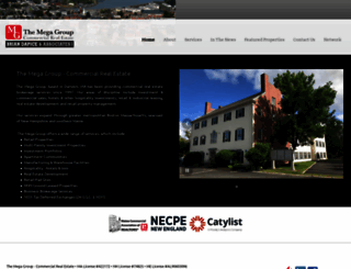 themegagroup.net screenshot