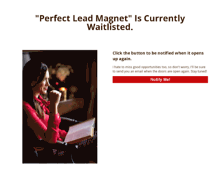 theperfectleadmagnet.com screenshot