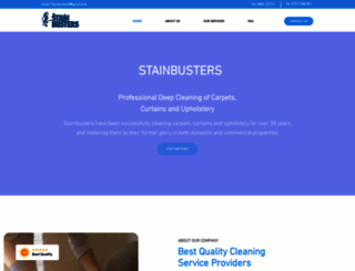 thestainbusters.co.uk screenshot