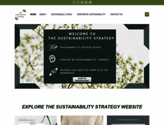 thesustainabilitystrategy.com screenshot