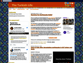 theturkishlife.com screenshot