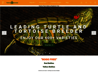 theturtlesource.com screenshot