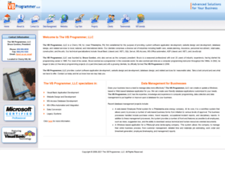 thevbprogrammer.com screenshot
