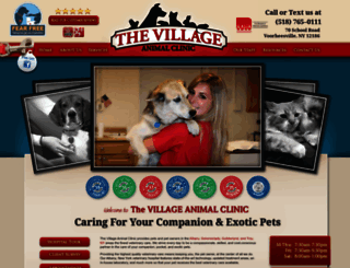 thevillageanimalclinic.com screenshot