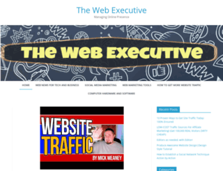 thewebexecutive.com screenshot
