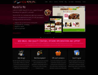thewebninjas.com screenshot