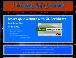 thinksonicinfo.com screenshot