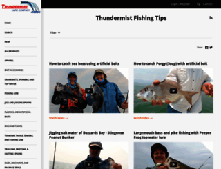 thundermistfishingtips.com screenshot
