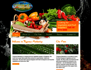 thygrace-marketing.com screenshot