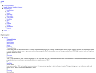 tiec.gov.eg screenshot