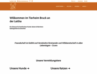 tierheimbruck.at screenshot