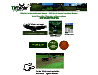 tifeagle.com screenshot