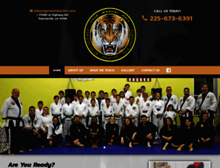 tigermartialartsllc.com screenshot