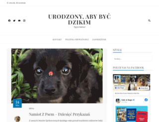 tigredemuleta.net screenshot