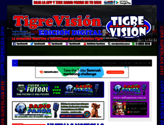 tigrevision.com.ar screenshot