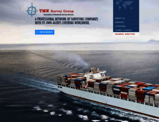 tmn-surveys.com screenshot