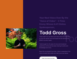 toddgross.com screenshot