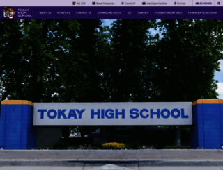 tokay.lodiusd.net screenshot