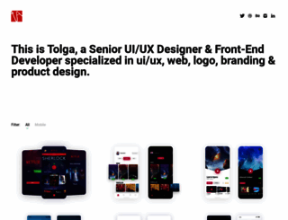 tolgaaskin.com screenshot