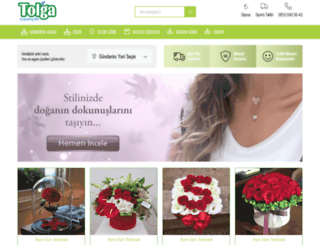 tolgacicek.com screenshot