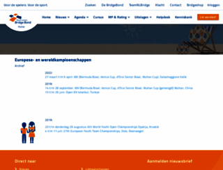 topbridge.nl screenshot