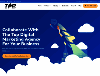 topinserp.com screenshot
