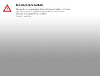topnischenreport.de screenshot