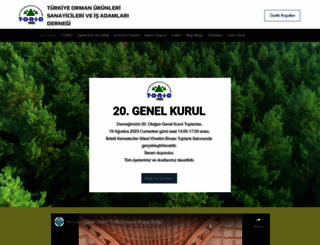 torid.org.tr screenshot